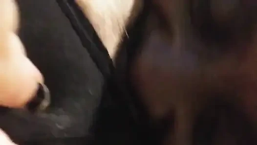 Irklararası kıllı amcık yiyor