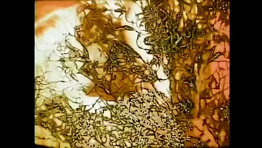 "Menşeimiz xxx... - cilt 14