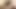 Ekran arkası stacey'nin kedi fotoğrafı çekimi videosu