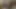 İki genç üniversiteli kız dildo ve straponlarla oynuyor