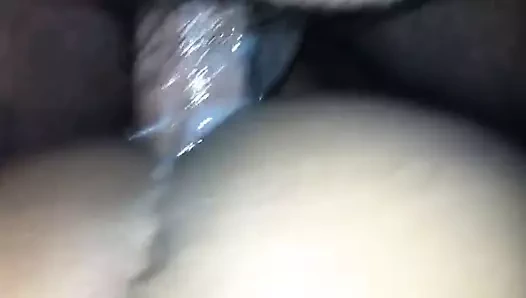 Kovalayan ve baba ayı