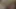 İki güzel genç lezbiyen seks oyuncağıyla sikişiyor