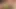 Sürtükimle porno çekmeyi seviyorum
