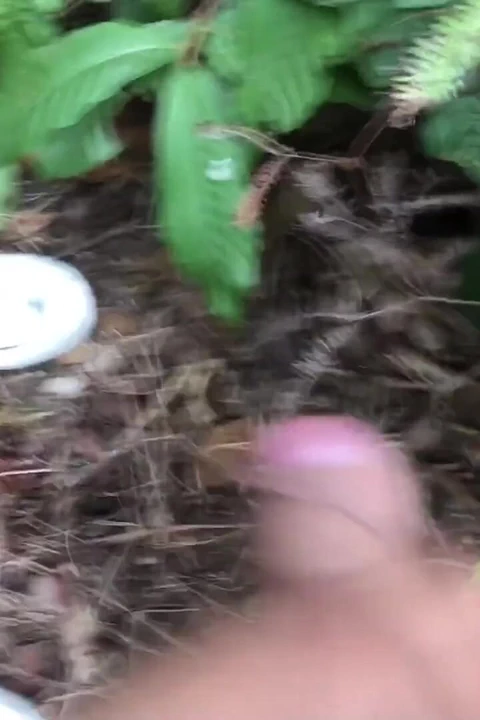 Nepal orman maceraları 2.6