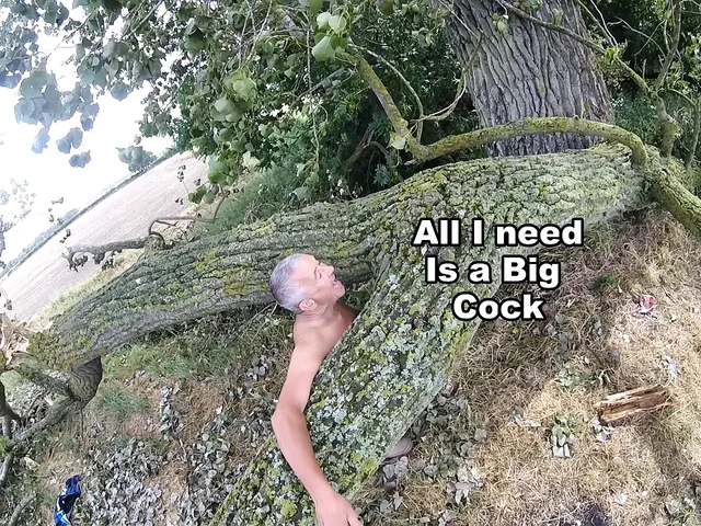 Прогулка 45 2025