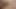Abanoz becerdin tarafından büyük beyaz horoz cumshot