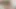 Seksi esmer büyük siyah horoz üzerinde oturur ve dersimi alır