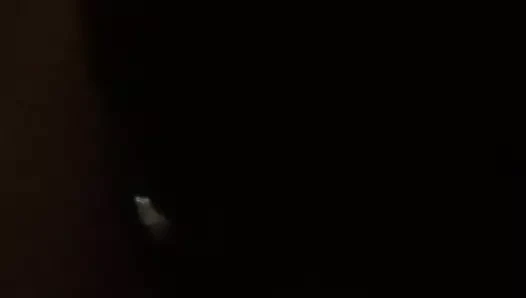 Collared siyah boi kırlangıçlar beyaz çük