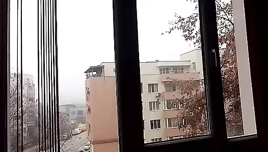 Memeler arasında havuç