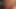 Özel siyah - büyük siyah horoz sevgilisi vanessa vaughn bbc alır