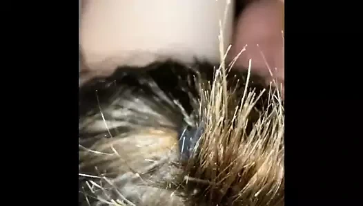 Eşcinsel üçlü grup seks göt dilleme sikişi