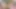 Hemşire Jayden Cole kendini yağla ovarak ve dildoyla sikişerek hastasını iyileştiriyor
