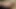 Olgun adam genç üvey kız kardeşini takip ediyor ve ona yarağını emdiriyor