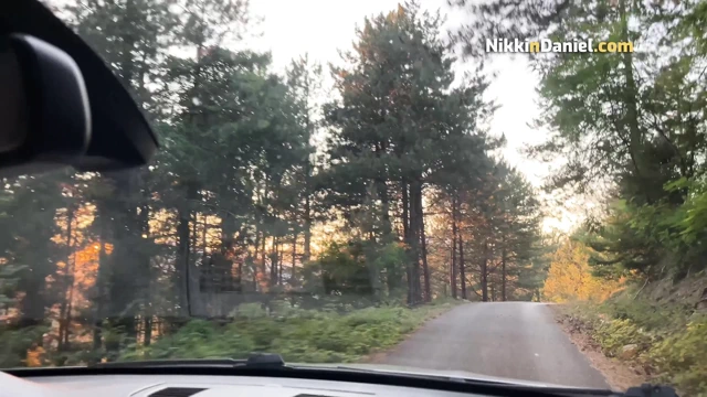 Seksi bir kızla ateşli randevu vahşi araba kaputunda seksle sona erdi