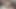 Solo sarışın amını ovuşturur ve 4k'de ıslak kedideki bir seks oyuncağını iter.