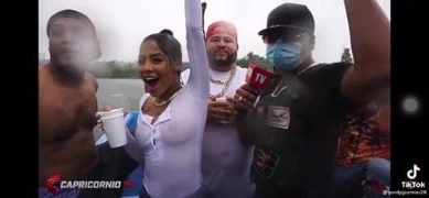 baştankara gömlek görmek