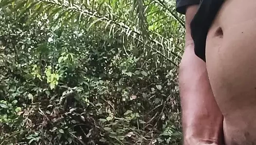 Palmiye bahçesinde büyük dick