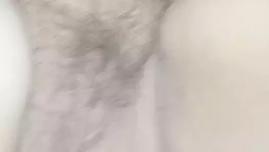 Rus kalın kıllı kedi