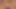 Anime Hentai 4K