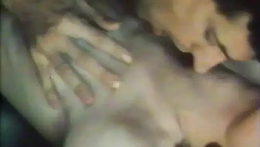 Venikler. polovye schetki (1991) 001-001 valentina grigorieva