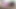 Bolly_Karma_092 _ oral seks