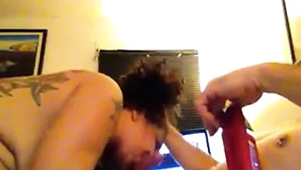 darbe jo ve bazı köpek