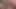 Hershey - BCCP2