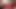 Good Looks