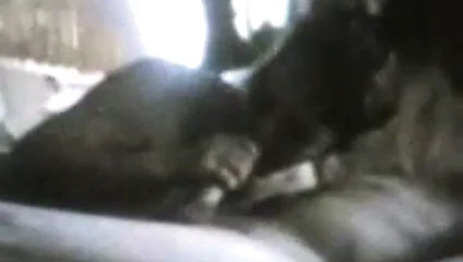 Seksi bayan mutlu son verir