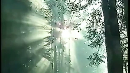 HerzogVideos Heidi lasst sie alle jodeln Teil 6