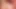 Dev ganimet ssbbw milf