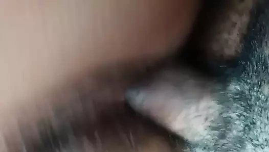 Digging o porto rikolu kedi dışarı