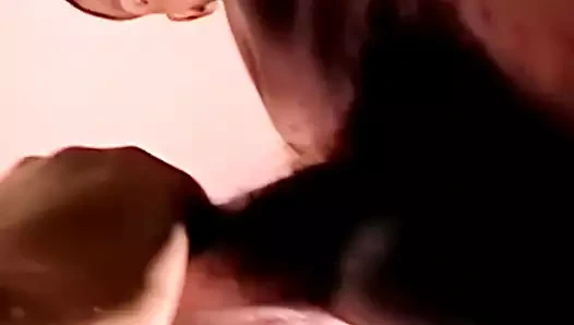 Asılı siyah damızlık büyük gururuyla bir horoz sevgilisini besler