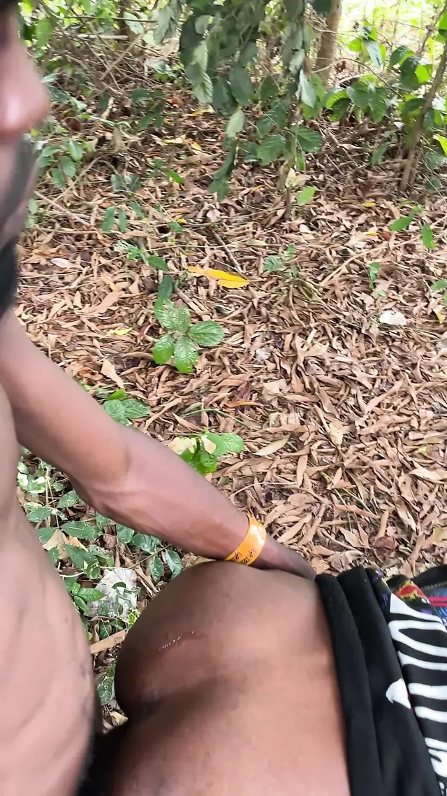 Siyah haydut çalıda rahatlıyor