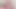 Bbw krissyloveroses fışkırtma krem ​​farts