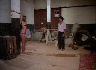 Brisas aşk yapmak (1982)