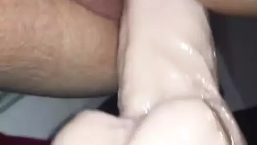 sıkı KEDİ gergin