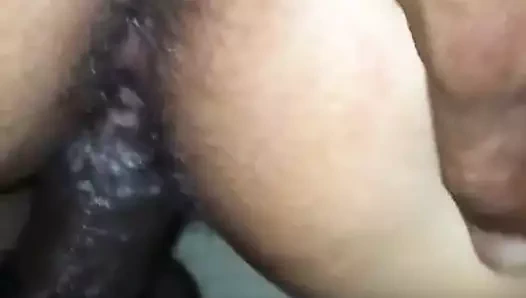 Gettig kedi kremalı