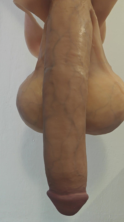 Testisli güzel uzun penis