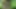 Azgın çiftin sert sikiştiği amatör xxx videosu - porno ern