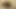 fotoğraf çekerken lelu lovepov oral seks yüz
