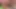Güzel büyük götlü kızıl saçlı sürtük götünü yalatmadan ve amından sikilmeden önce yarak emiyor ... Pawg, orta yaşlı seksi kadın, göt yeme, oral seks