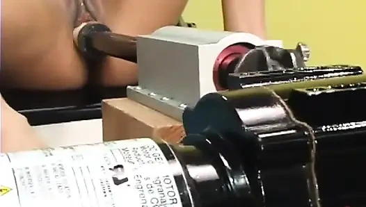 Ana seksi bir kedi yavrusu