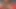 Güzel güney amerikalı civciv kahrolası