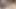 Sıkı kedi, sıcak eşek, selfie çubuğu ile güzel sarışın genç