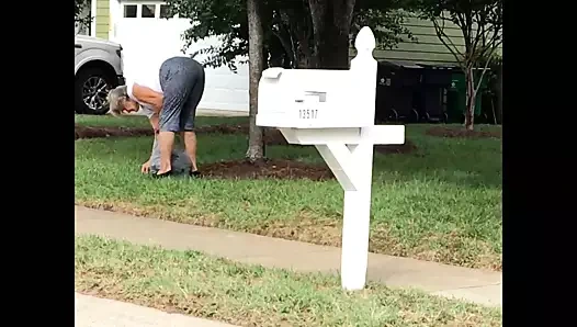 Büyük ganimet komşu