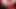 Sex swing sub dev kırmızı dildo ile götünü genişletiyor ve aynı anda tıraşlı amından sikiliyor
