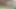 Azgın yüze oturan sürtük ile vahşi açık havada anal dildo oyunu