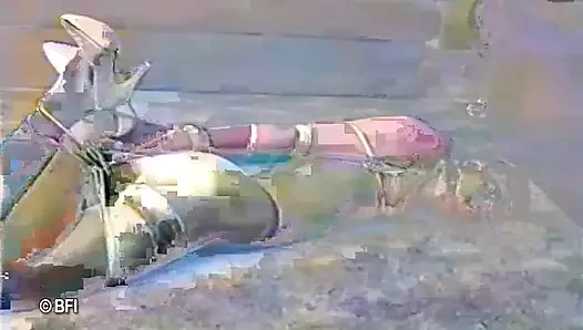 Kristas mücadele ve esaret - dvd