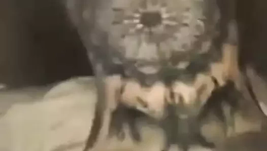 Dövme kız dogging sikme